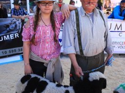 2019_ausstellung polling_712